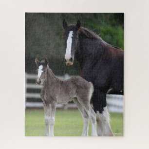 Puzzle Bob Langrish   Caballo de Shire Mare y pie de cama