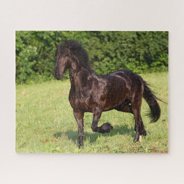 Puzzle Bob Langrish | Caballo frisón negro corriendo (Horizontal)