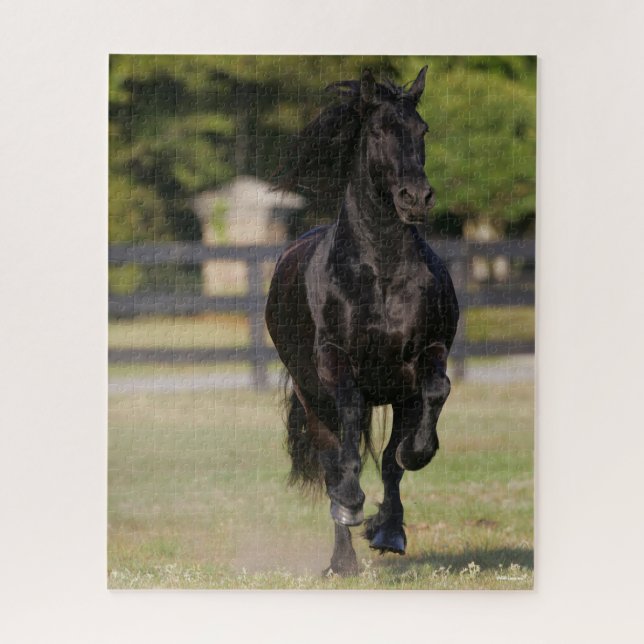 Puzzle Bob Langrish | Caballo frisón negro corriendo (Vertical)