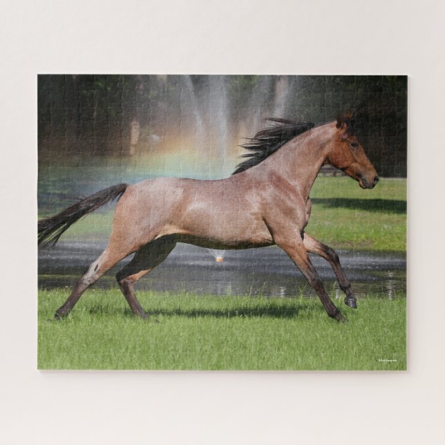 Puzzle Bob Langrish | Caballo Mangalarga Corriendo Arcoir (Horizontal)