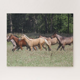 Puzzle Bob Langrish   Caballos de barrio de manada