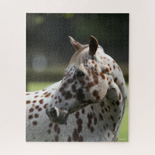 Puzzle Bob Langrish   Cabecera Appaloosa Standing