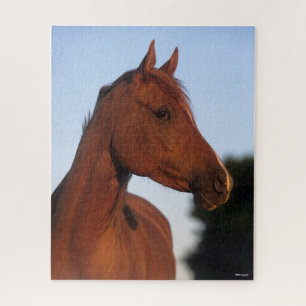 Puzzle Bob Langrish   Cabecera árabe de castaño