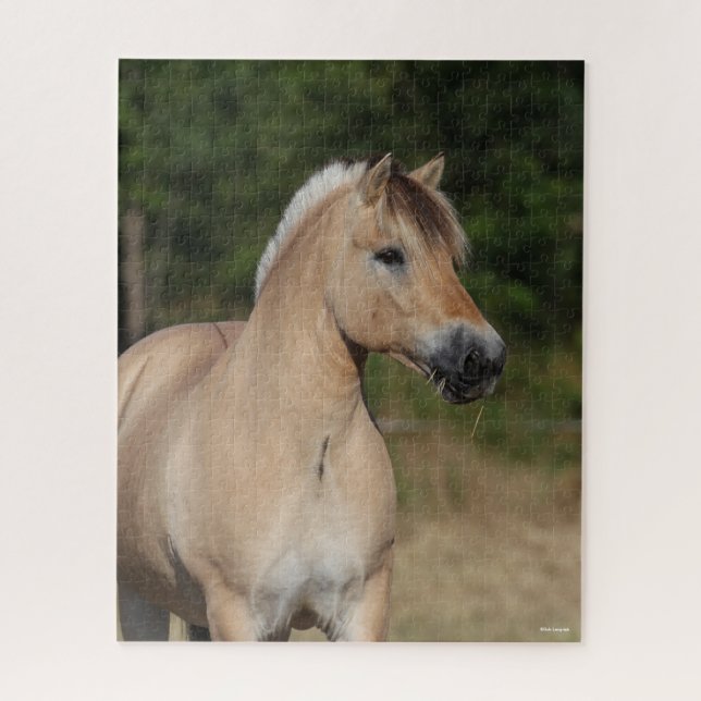 Puzzle Bob Langrish | Cabecera de Caballo de Fiordo (Vertical)