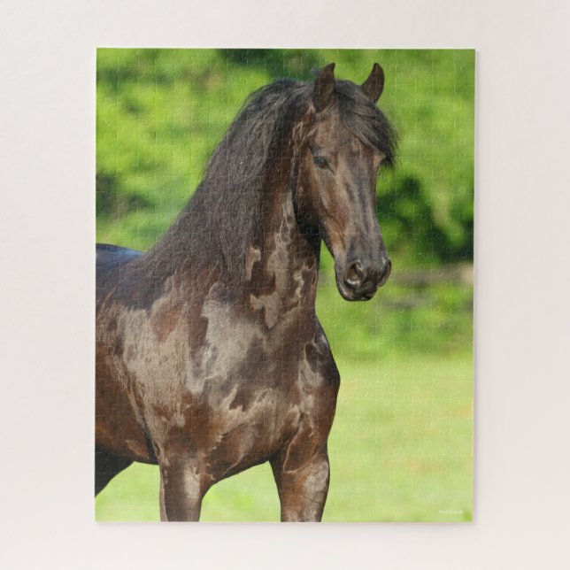 Puzzle Bob Langrish | Cabecera Friesian Horse Standing (Vertical)