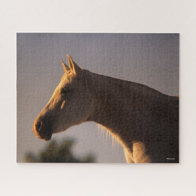 Puzzle Bob Langrish | Cabecera retroiluminada gris en pos (Horizontal)