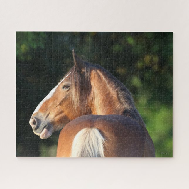 Puzzle Bob Langrish | Cabeza de Clydesdale Horse (Horizontal)