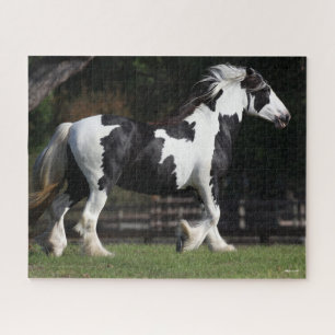 Puzzle Bob Langrish Camina gitana blanca y negra
