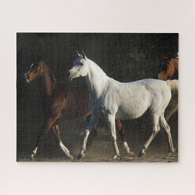 Puzzle Bob Langrish | Caminata de Mares Árabes (Horizontal)