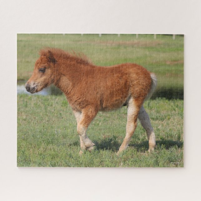 Puzzle Bob Langrish | Caminata en miniatura (Horizontal)