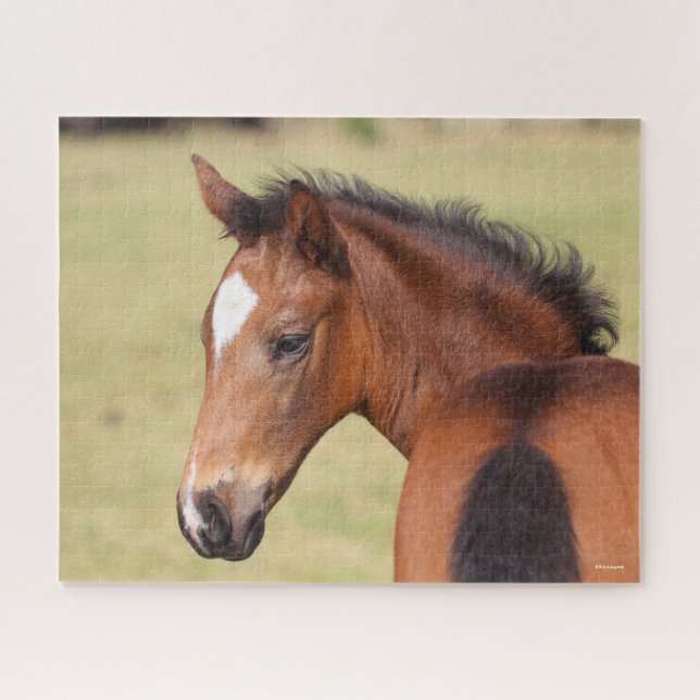 Puzzle Bob Langrish | Captura de cabeza de Bay Warmblood  (Horizontal)