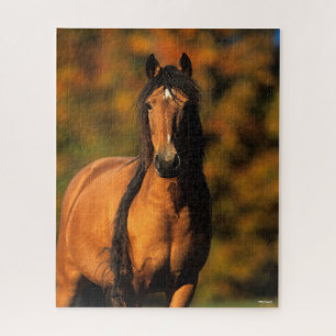 Puzzle Bob Langrish   Captura de cabeza de Chocktaw Pony 