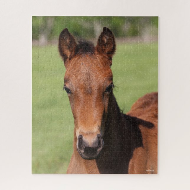 Puzzle Bob Langrish | Captura de cabeza de cuaderno del c (Vertical)