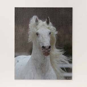 Puzzle Bob Langrish   Captura de cabeza de Friesian Appal