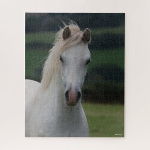Puzzle Bob Langrish   Captura de cabeza de Gray Welsh Pon