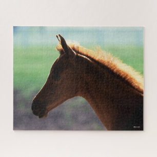 Puzzle Bob Langrish   Captura de cabeza de los castaños 