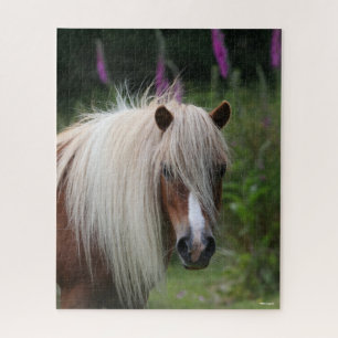Puzzle Bob Langrish   Captura de cabeza de Shetland Pony 