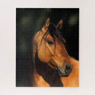 Puzzle Bob Langrish   Captura de cabeza del Bay Kiger Mus