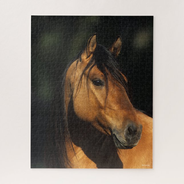 Puzzle Bob Langrish | Captura de cabeza del Bay Kiger Mus (Vertical)