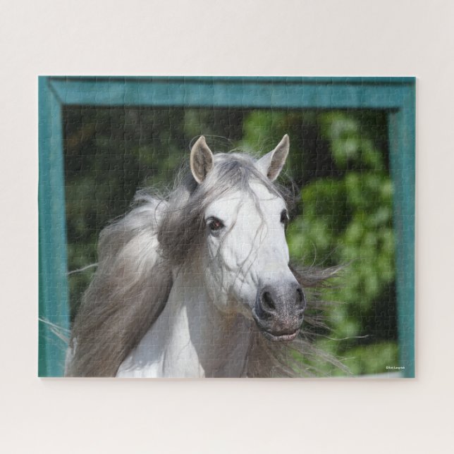 Puzzle Bob Langrish | Captura de cabeza del Stallion de A (Horizontal)