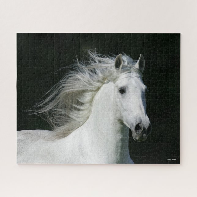 Puzzle Bob Langrish | Captura de cabeza del Stallion de A (Horizontal)