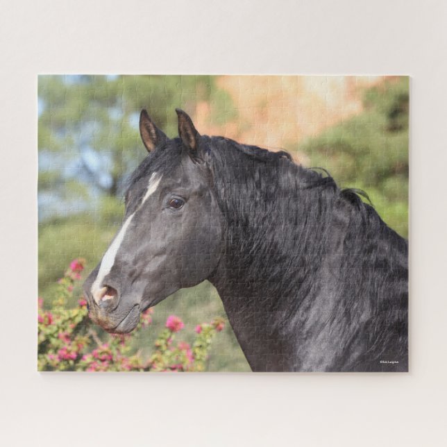 Puzzle Bob Langrish | Captura de cabeza del Stallion de A (Horizontal)