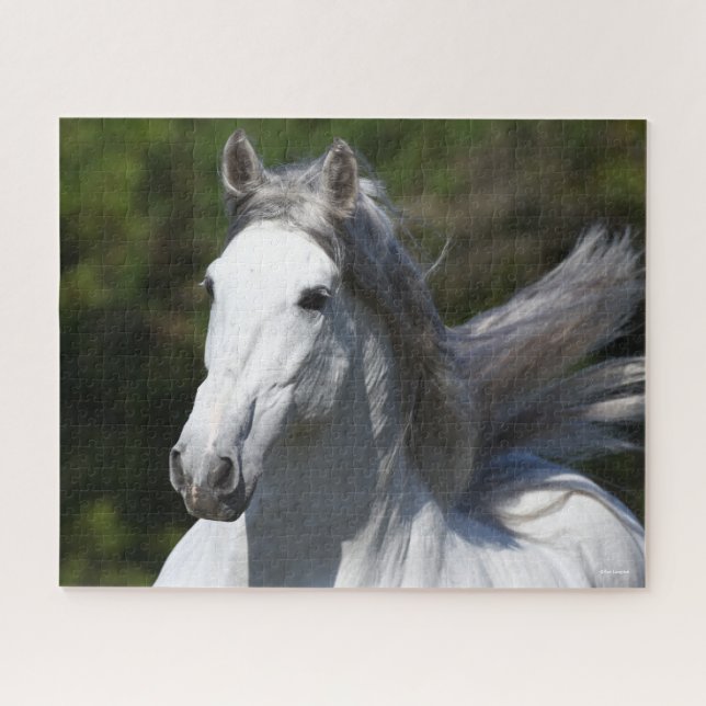 Puzzle Bob Langrish | Captura de cabeza del Stallion de A (Horizontal)