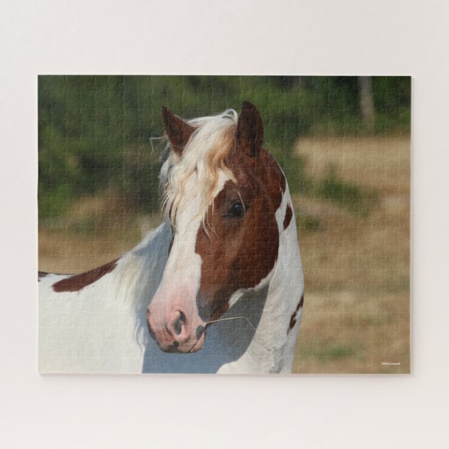 Puzzle Bob Langrish | Captura de cabeza del Stallion Pint (Horizontal)