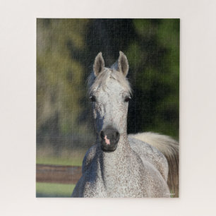 Puzzle Bob Langrish   Captura de pantalla árabe gris