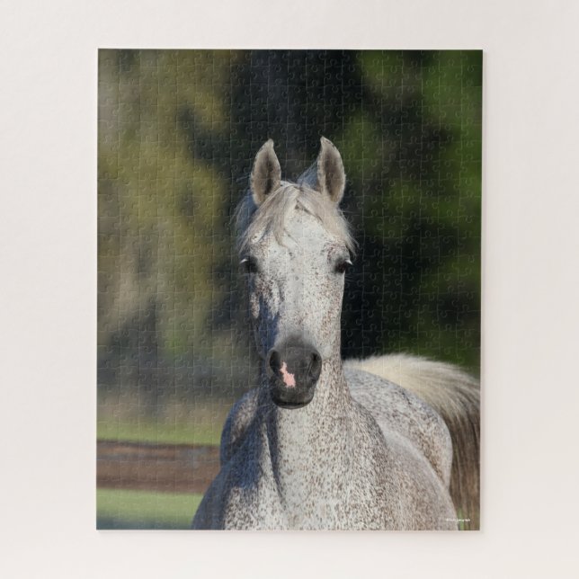 Puzzle Bob Langrish | Captura de pantalla árabe gris (Vertical)