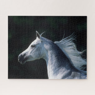 Puzzle Bob Langrish   Captura de pantalla árabe gris 3