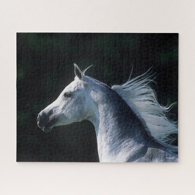Puzzle Bob Langrish | Captura de pantalla árabe gris 3 (Horizontal)