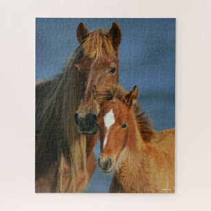 Puzzle Bob Langrish   Captura de pantalla de Baker Pony M