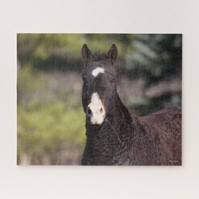 Puzzle Bob Langrish | Captura de pantalla de Bashkir Curl (Horizontal)