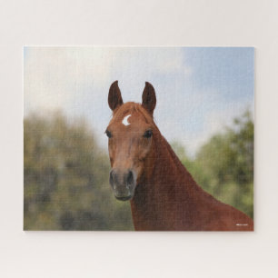 Puzzle Bob Langrish Captura de pantalla de Chestnut Old