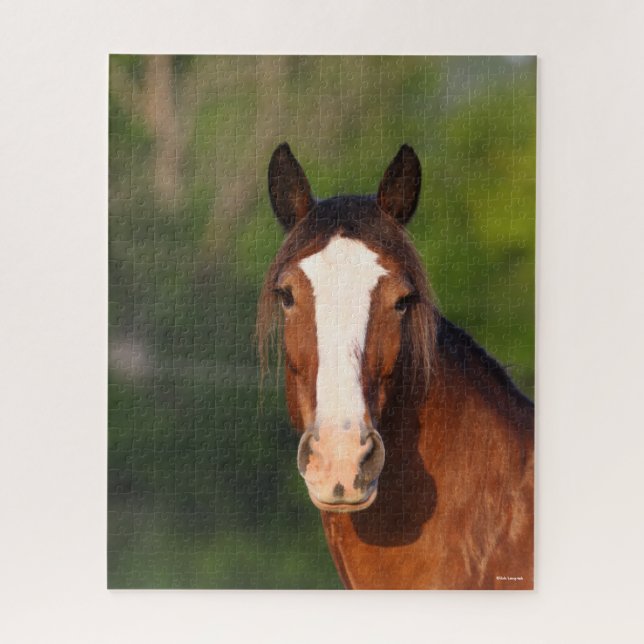 Puzzle Bob Langrish | Captura de pantalla de Clydesdale (Vertical)