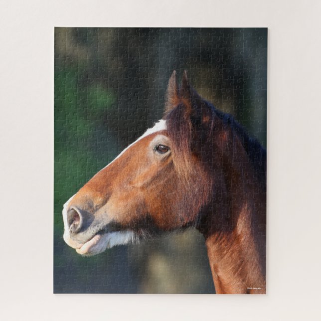 Puzzle Bob Langrish | Captura de pantalla de Clydesdale (Vertical)