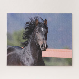 Puzzle Bob Langrish   Captura de pantalla de la parte pos