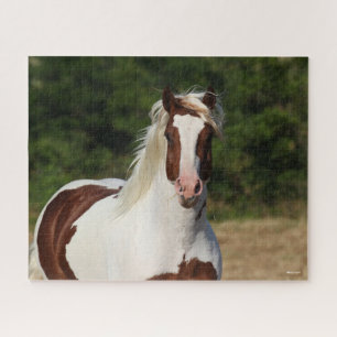 Puzzle Bob Langrish   Captura de pantalla de Pinto Haflin