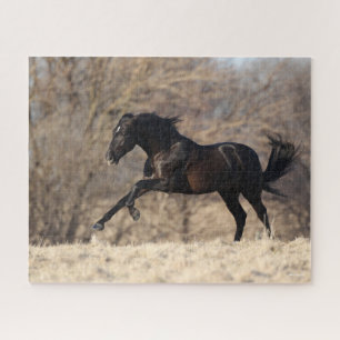 Puzzle Bob Langrish   Carrera andaluza
