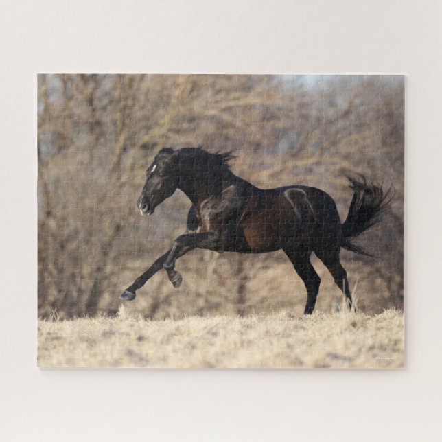 Puzzle Bob Langrish | Carrera andaluza (Horizontal)