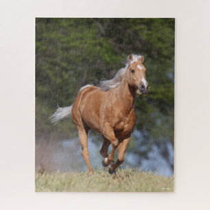 Puzzle Bob Langrish   Carrera de caballos del barrio Palo