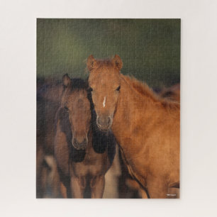 Puzzle Bob Langrish Caspian Pony Foys unidos