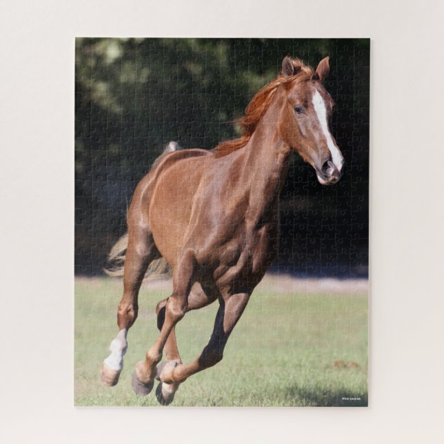 Puzzle Bob Langrish | Chestnut Tennessee Walker Running (Vertical)