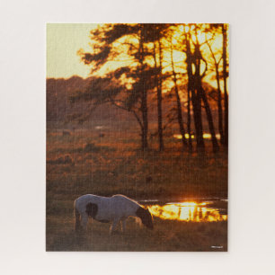Puzzle Bob Langrish Chincoteague Caballo Grazando al atar