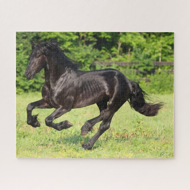 Puzzle Bob Langrish | Correr frisón negro (Horizontal)