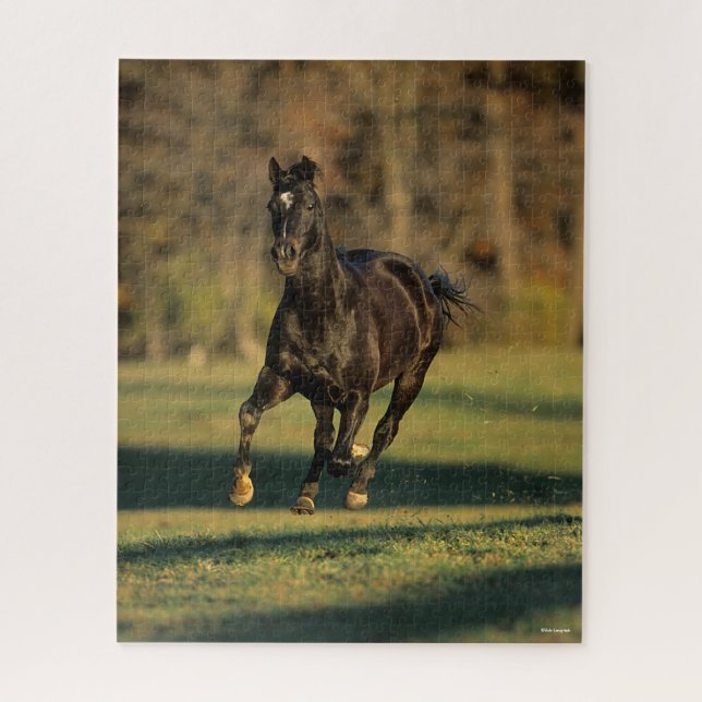 Puzzle Bob Langrish | Correr negro arado (Vertical)
