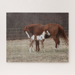 Puzzle Bob Langrish   Cuarteto de yegua de caballo y pint