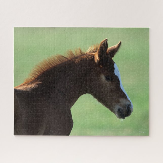 Puzzle Bob Langrish | Cuartos de Carne de Caballo ilumina (Horizontal)