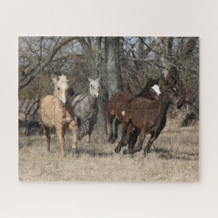 Puzzle Bob Langrish   Cuatro caballos de Curva de Bashkir